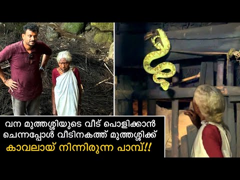 വന മുത്തശ്ശിയുടെ വീട് പൊളിക്കാൻ ചെന്നപ്പോൾ വീടിനകത്ത് മുത്തശ്ശിക്ക് കാവലായ് നിന്നിരുന്ന പാമ്പ്..😱