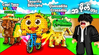ကျွန်တော် အမိုက်စား Taco Tuesday Event ကိုဆော့ခဲ့တယ် - Steal a Brainrot Roblox 