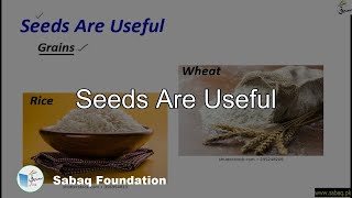 Seeds Are Useful