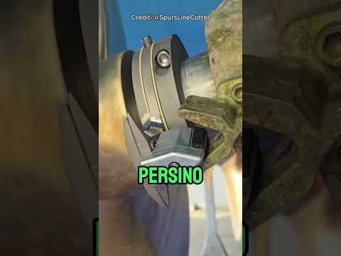 Lo Strumento che Ti Salva negli Oceani Inquinati