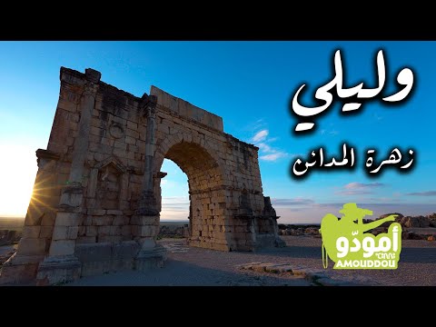 أمودّو | وليلي زهرة المدائن (حلقتين في حلقة واحدة)
