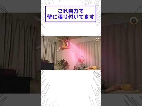 吉田沙保里伝説