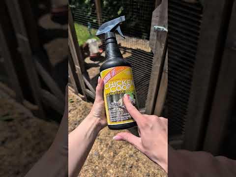Cleaning coops is my therapy ๐งโโ๏ธ๐ซง๐ #asmrcleaning #cleaningwithgabie