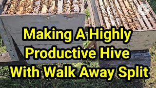 Making A Highly Productive Hive With Walk Away Split