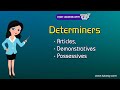 Understanding Determiners