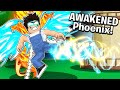 Phoenix Fruit Abilities and Features