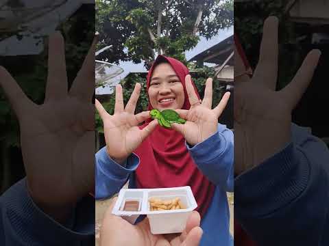 Kumpulan shorts eskrim icecream 180 biskuit karakter hewan