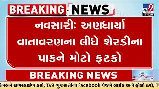 Navsari: અણધાર્યા વાતાવરણના લીધે શેરડીના પાકને મોટો ફટકો | Gujarat | TV9Gujarati