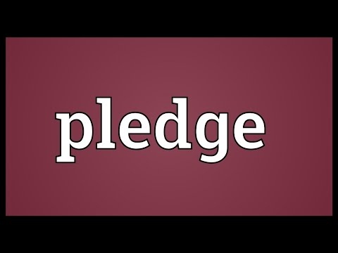 Pledge Meaning