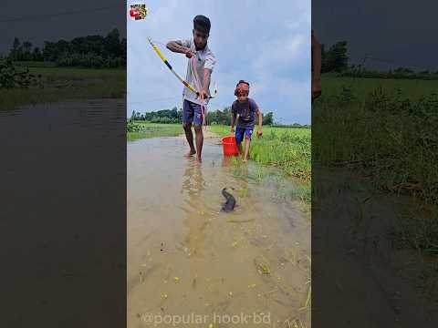 😲How to fish with arrow bow(part-1) #shorts #arrow_fishing #ytshorts #fishing #vairal