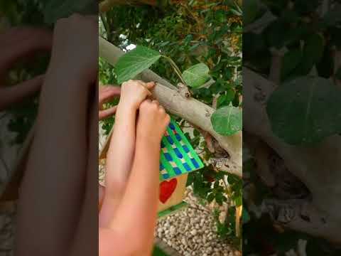 Stephi is helping to make bird feeders ??? ?