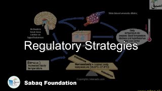 Regulatory Strategies