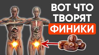 Ешьте ТРИ ФИНИКА В ДЕНЬ — и вот что произойдёт с телом! Финики польза или вред?