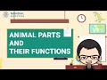 Animal Movement and Adaptations