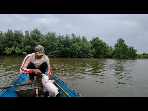 Sebelum badai, Alhamdulillah..masih sempat strike ikan Barramundi