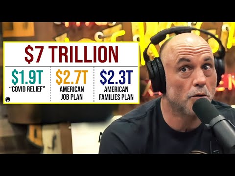 The DOGE findings didn’t scare me until I saw this.. | Joe Rogan