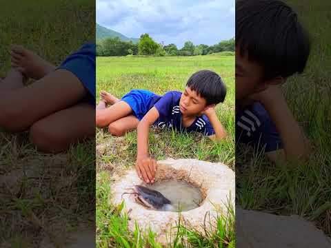 Dangerous animal enters the water 😯 #shortsfeed #youtubeshorts #viral #shorts