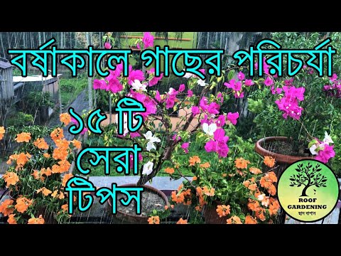 বর্ষাকালে গাছ ভালো রাখতে কি কি করবেন / Plant care tips for monsoon / Reupload