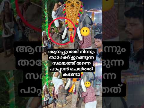 เดเดจเดชเตเดชเตเดฑเดคเตเดคเต เดจเดฟเดจเตเดจเตเด เดคเดพเดดเตเดเตเดเต เดเดฑเดเตเดเตเดจเตเดจ เดธเดฎเดฏเดคเตเดคเต เดคเดจเตเดจเต เดชเดพเดชเตเดชเดพเตป เดเตเดฏเตเดคเดคเต เดเดฃเตเดเต