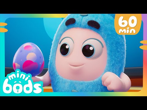 Cute Baby Chick Cracked! | 60 Minutes of Minibods | Funny Preschool Cartoons for Toddlers