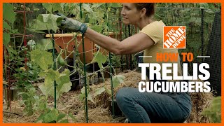 Garden Trellises Trellises The Home Depot