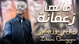 Zitouni Bourgon - Malha Za3fanaa | Music | الزيتوني بوركون - مالها زعفانة
