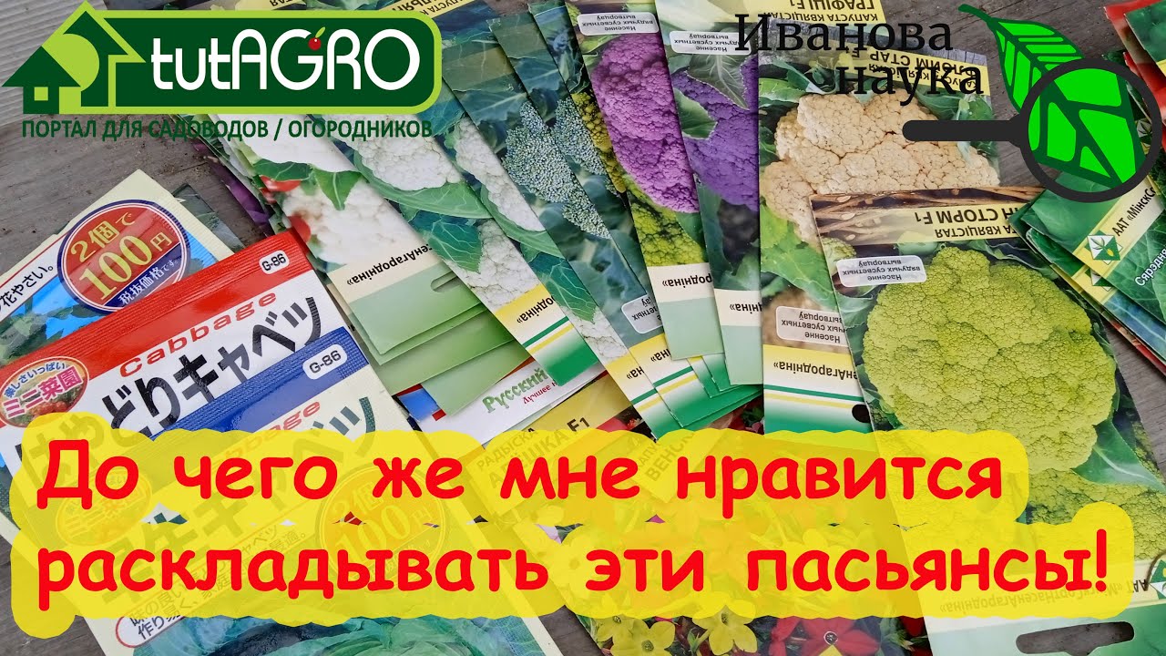 Точные сроки посева семян. Что посеять в марте? Редис, капуста на рассаду, салат, руккола, а ещё.