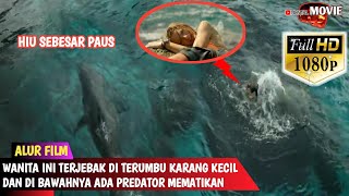 THE REAL SURVIVAL WANITA INI TERJEBAK TENGAH LAUTAN DI TERUMBU KARANG | ALUR CERITA FILM