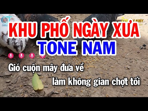 Karaoke Khu Phố Ngày Xưa Tone Nam Dm || Nhạc Sống Mới || Karaoke Tuấn Kiệt