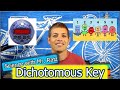 Understanding Dichotomous Keys