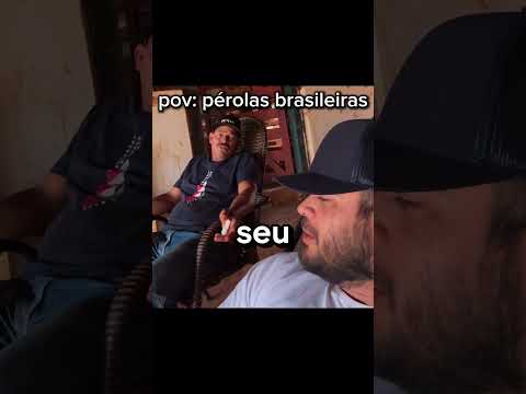 as melhores pérolas #brasil #humor #shorts