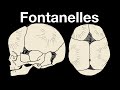 Fontanelles and Related Conditions