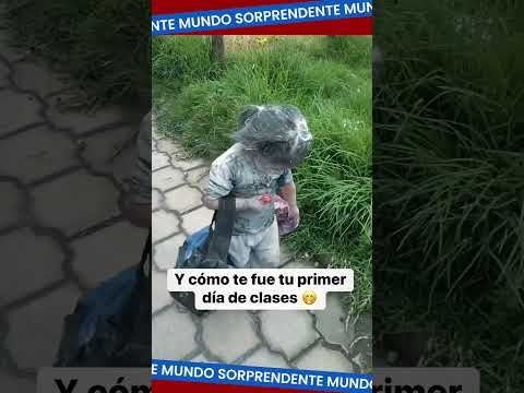 Cuando me preguntan como me fue en mi primer día de clases 🤣🤣🤣🤣🤣