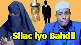 ilmahayga Ma Arkin 2 maalin iyo 2 Habeen Qol cidla ah Laygu xiray nolol silac iyo Bahdil kaafiyo