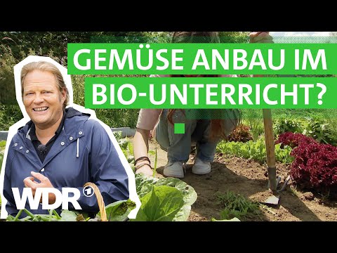 Vom Beet in die Küche: Mit eigener Ernte im Bio-Unterricht kochen | Viel für wenig | WDR