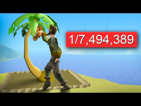 So Rare it Does Not Seem Real