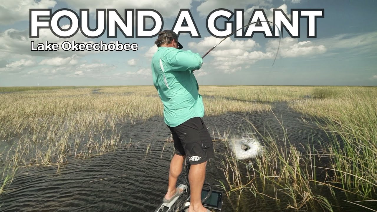 Biggest Bass EVER Caught on the NEW Color!