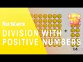 Division Methods and Techniques