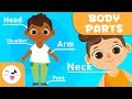 Understanding the Human Body