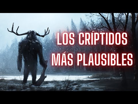 ¿LEYENDAS O REALIDAD? : TOP 6 críptidos más plausibles