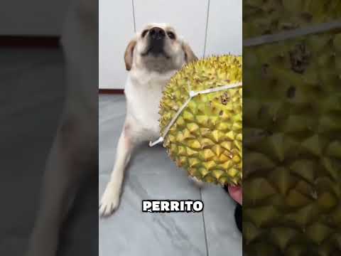 ¡Del juego al susto en un segundo!