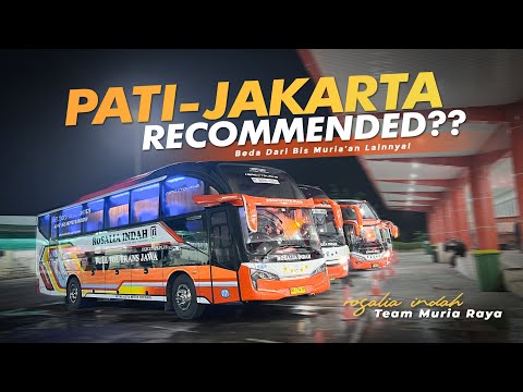 SERVICE & FASILITAS TERBAIK DI JALURNYA ‼️  Trip Rosalia Indah Pati-Jakarta #2