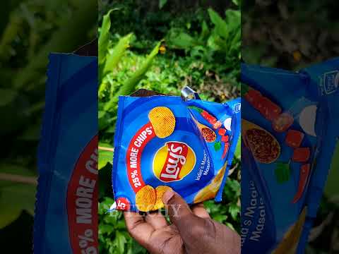 Lays ഇങ്ങനെ ഉണ്ടാക്കി നോക്കു...| Lays new recipe | B TECHY