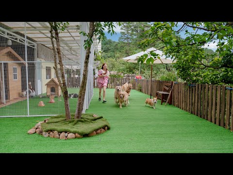 森の中にある犬猫34匹の家ってどんな家？ルームツアーでご紹介！