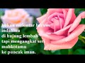Understanding 'Sekuntum Mawar' Poem