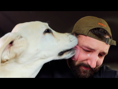 Chiefs Last Adventure..