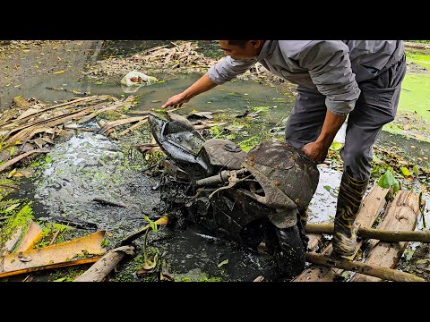 Restoration Motorcycle Buried in Mud | The Complete Process