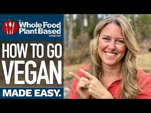 BEGINNER'S GUIDE TO GOING PLANT BASED » how to go vegan