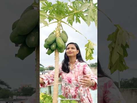 Ninni ne Tree Society me Papita ko Dhundha 😭