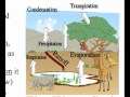 Ecosystems and Biogeochemical Cycles